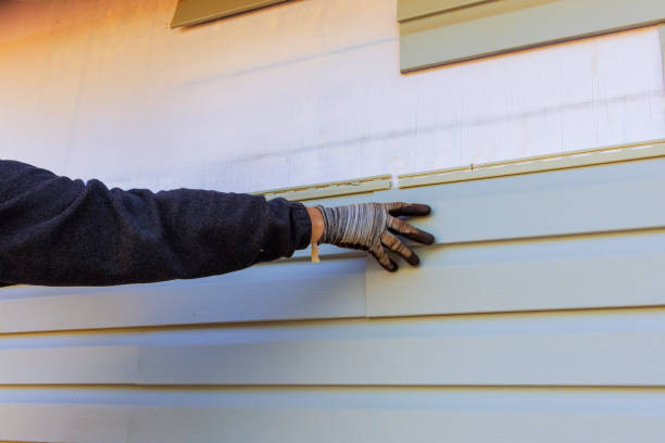 Affordable Siding Repair and Maintenance Services in Edgewood, NM